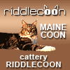 Maine-Coon Cattery 'Riddlecoon'