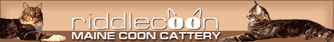 Maine-Coon Cattery 'Riddlecoon'